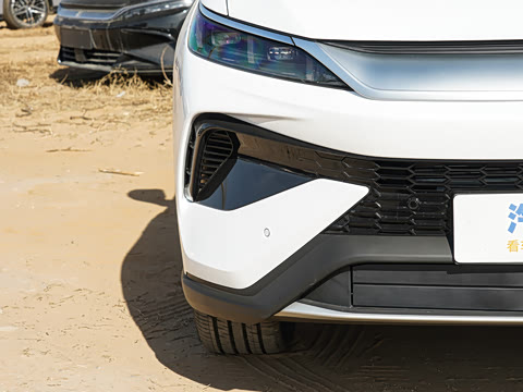 2026�� DM-i 220KM��Խ��