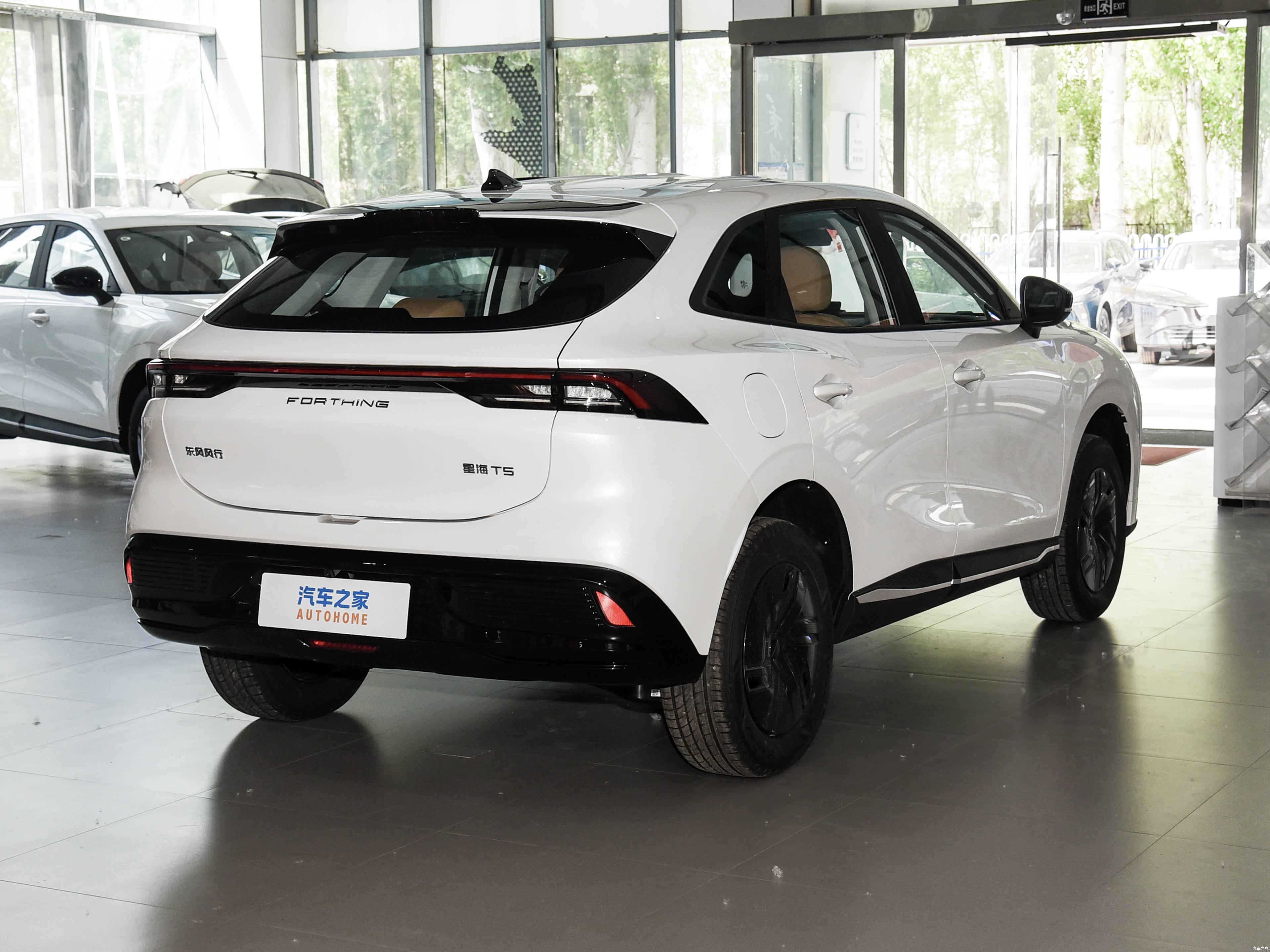 Forthing T5, миниатюра 7