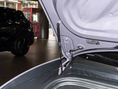 2026�� Macan ��������