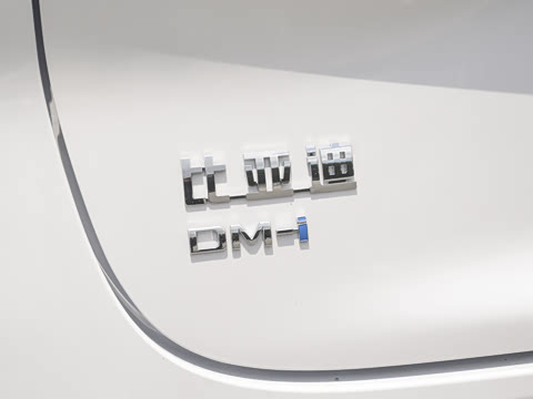 2027�� DM-i 230KM������