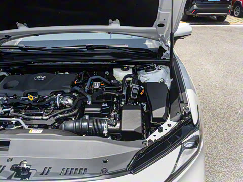 2026�� ˫�� 2.5HXS �˶�Plus��