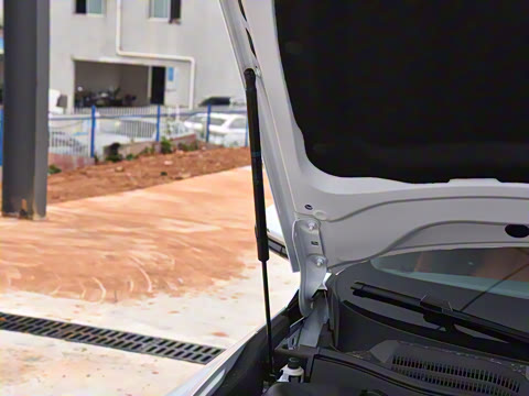 2025�� ������