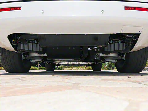 2025�� ������