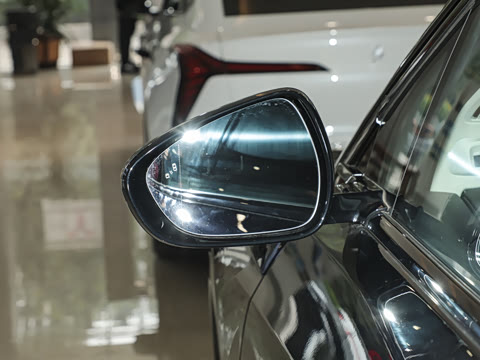 2025�� 520 ��ѡ��