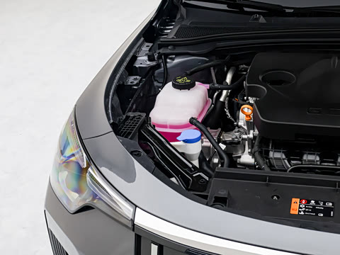 2026�� 1.5L ��ð�