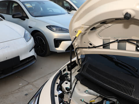 2026�� ������