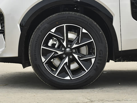 2026�� 230��������Max