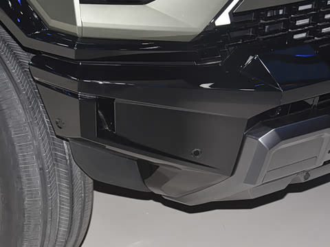 2025�� Pro
