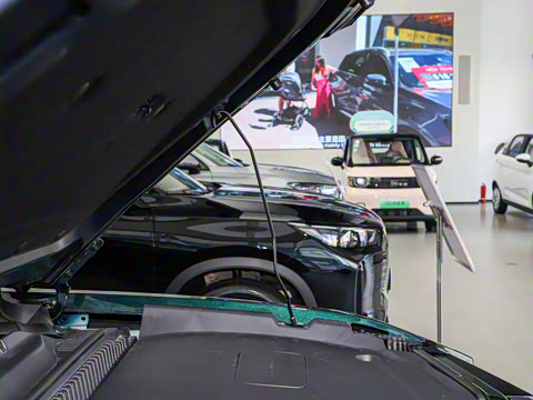 2025�� 520���а�