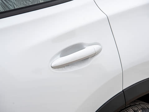 2026�� �ھ��� 290T ���������� 7��