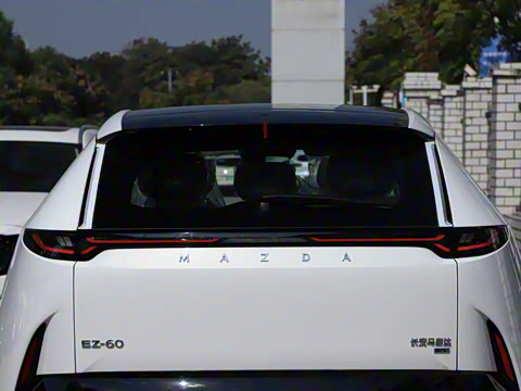 2025�� ����600 Pro