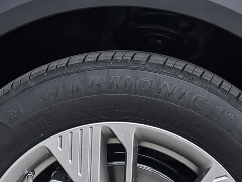 2026�� 565km ������