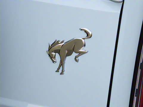 2025�� 2.3T 1966��׼��