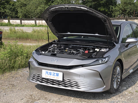 2026�� 2.0GVP ������