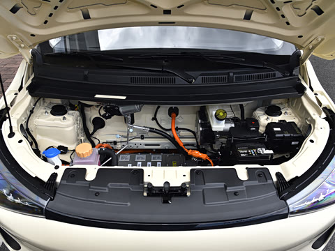 2026�� 310km  max��Ը��