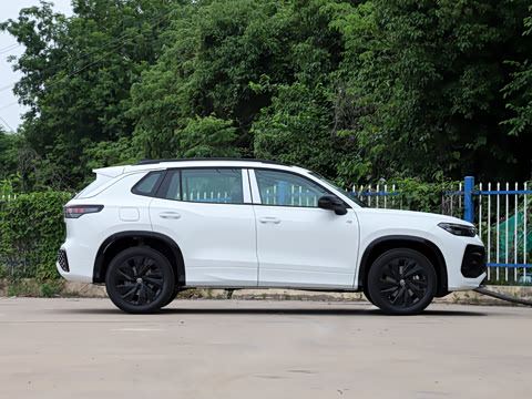 2026�� �Ŀ� ̽��L 300TSI ������Ӣ