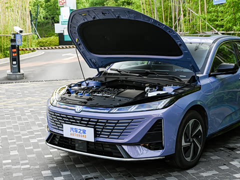 2026�� 1.5L �������� ������