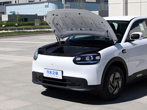 2026�� 310�Ȱ���