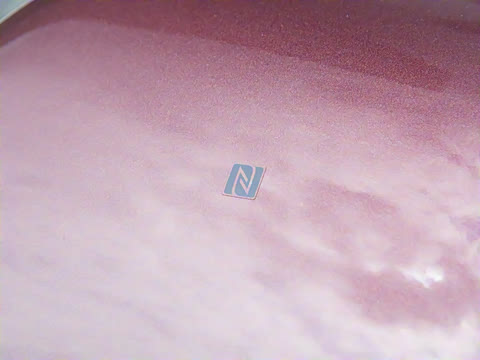 2025�� ���� Max+ ���������� 