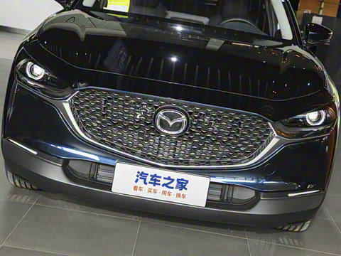 2025�� 2.0L �ֶ�������