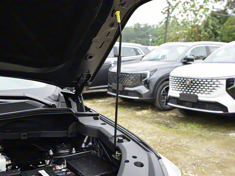 2026�� PRO 1.5T DCT ������ 7��