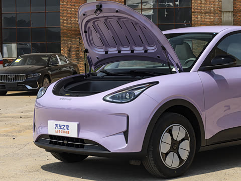 2026�� 310km ������