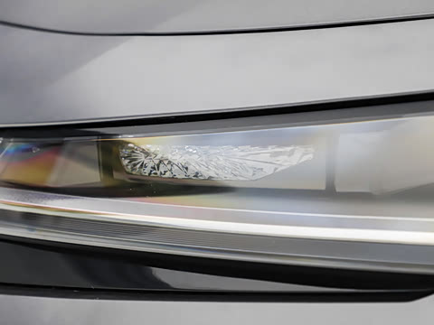 2025�� ������