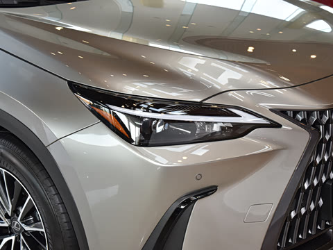 2025�� 400h+ PRIME