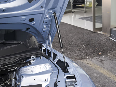 2026�� 565������