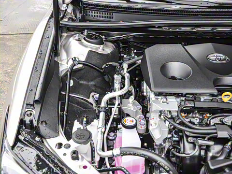 2026�� ˫�� 2.0HGVP ������