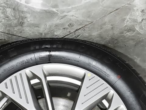 2025�� 565km �����