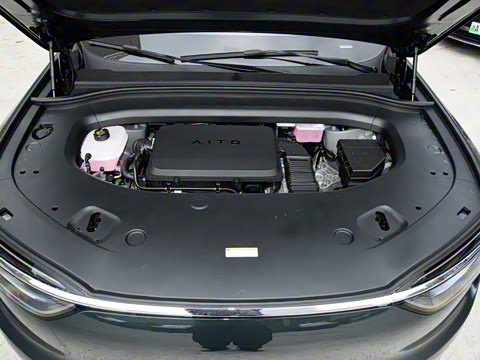 2026�� ���� Max������ 5��