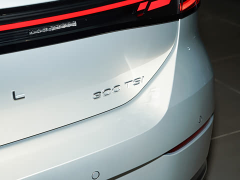 2026�� L 300TSI DSG ��Ӣ��