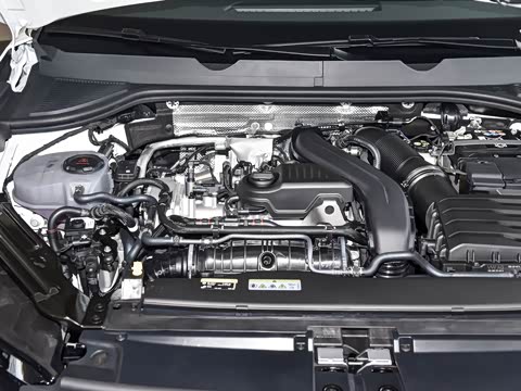 2026�� L 300TSI DSG ��Ӣ��