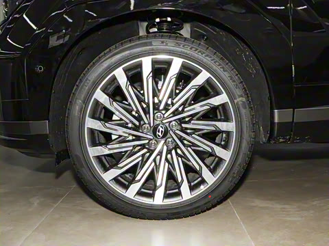 2024�� 2.0T ���ͼ�Pro