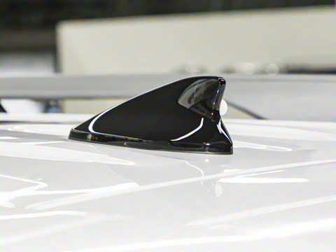 2026�� 2.5T Calligraphy ���ͼ� 6��