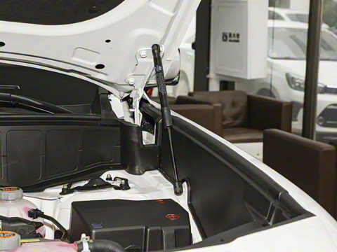 2026�� 2.5T Calligraphy ���ͼ� 6��