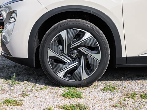 2026�� 1600 ������� 
