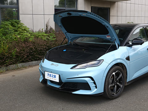 2025�� �Ǽݰ� 505���˰�