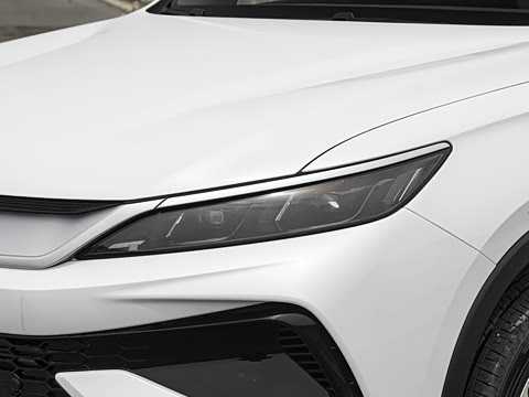 2026�� �ɳ۰� DM-i 220KM��Խ��