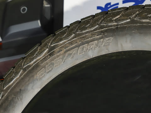 2026�� ��̲���̰�