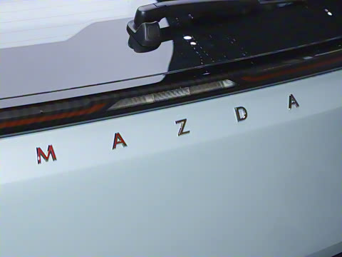 2025�� ����600 Pro