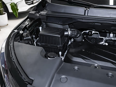 2025�� �Ŀ� �콢��