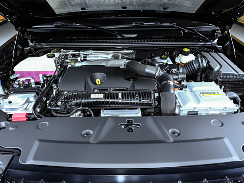 2025�� ������