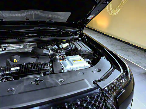 2025�� ������