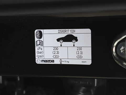 2025�� 2.0L �Զ�����������