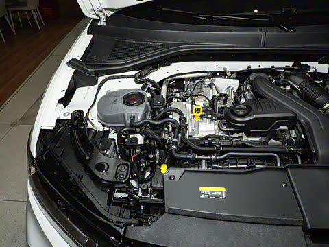 2026�� 300TSI DSG���������