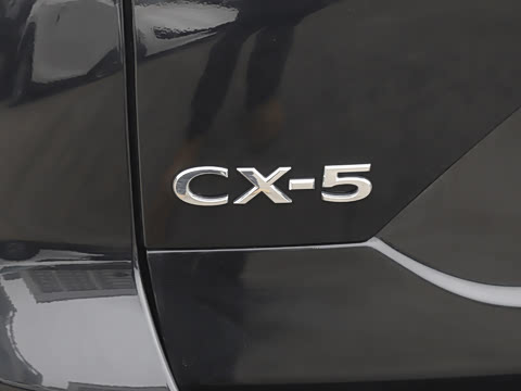 2025�� 2.0L �Զ�����������