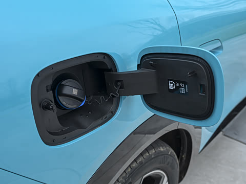 2026�� ���� �����