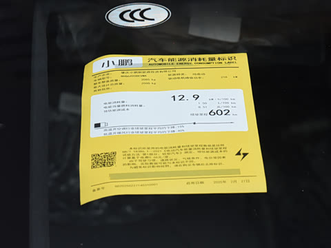 2025�� 602 ������ Max